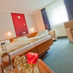 Kocks Hotel Garni 3* Стандартный номер