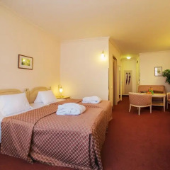 Отель Interhotel Central 4* Номер Делюкс с двуспальной кроватью фото 2