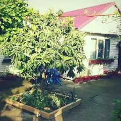 Гостиница Letniye Domiki Vacation Home фото 19