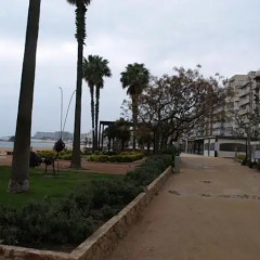 Отель Apartamentos Blanes Испания, Бланес - отзывы, цены и фото номеров - забронировать отель Apartamentos Blanes онлайн