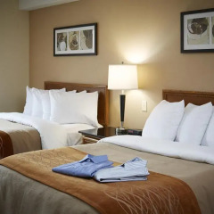 Отель Comfort Inn Brossard 2* Стандартный номер с различными типами кроватей фото 3