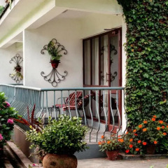 Отель Fish Tail Lodge Непал, Покхара - отзывы, цены и фото номеров - забронировать отель Fish Tail Lodge онлайн фото 11