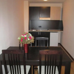 Sunrise Hotel Alexander Services Apartments Банско в номере фото 2