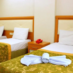 Hotel Buyuk Paris 3* Стандартный номер с различными типами кроватей фото 10