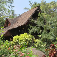 Отель Koh Tao Royal Resort 3* Бунгало Делюкс с различными типами кроватей фото 35
