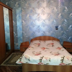 Апартаменты Apartments on Radishcheva Апартаменты с разными типами кроватей фото 4