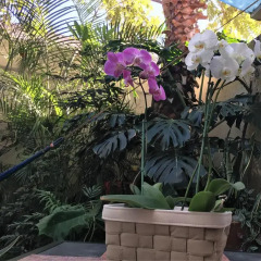 Отель Dickinson Guest House 3* Стандартный номер с различными типами кроватей фото 49