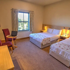 The Lucan Spa Hotel 3* Стандартный номер с разными типами кроватей фото 18