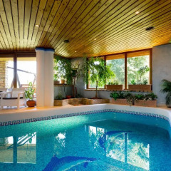 Отель Dream Homes Private Villa Венгрия, Будапешт - отзывы, цены и фото номеров - забронировать отель Dream Homes Private Villa онлайн бассейн