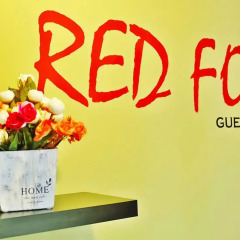 Отель Red Fox Guesthouse интерьер отеля фото 3