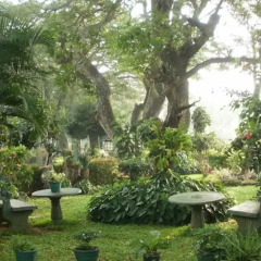 Отель Nilketha Villa Eco Анурадхапура