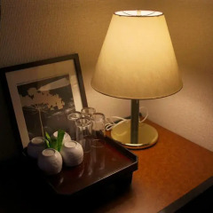 Hakuba Springs Hotel Хакуба удобства в номере фото 2