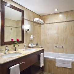 Отель Khalidiya Palace Rayhaan by Rotana, Abu Dhabi 5* Стандартный номер с различными типами кроватей