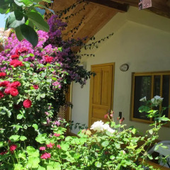 Отель Blue Paradise Pension 2* Стандартный номер фото 3