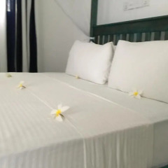Отель The Entrance - Galle Fort 3* Стандартный номер с различными типами кроватей фото 2