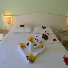 Blue Star Hotel 3* Стандартный номер с различными типами кроватей фото 2