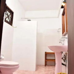 Отель Blue Eyes Inn Номер Делюкс с различными типами кроватей фото 13