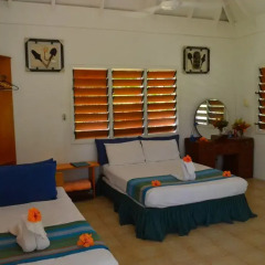 Отель Daku Resort Savusavu 3* Бунгало с различными типами кроватей фото 12