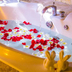 Отель Railay Bay Resort and Spa 4* Коттедж Делюкс с различными типами кроватей фото 16
