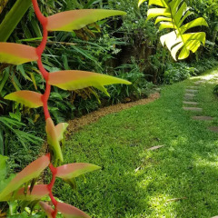 Отель Highbury Colombo Шри-Ланка, Коломбо - отзывы, цены и фото номеров - забронировать отель Highbury Colombo онлайн фото 12