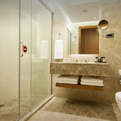Ommer Hotel Kayseri 5* Номер Делюкс с различными типами кроватей