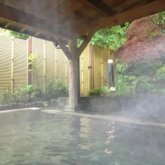Отель Shimizu Ryokan Хидзи парковка