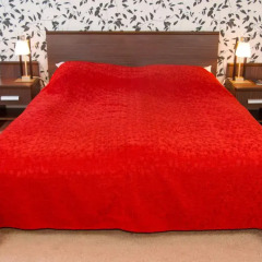Hotel Katowice Economy комната для гостей фото 5