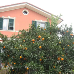 Отель Le Clementine B&B Камогли фото 8