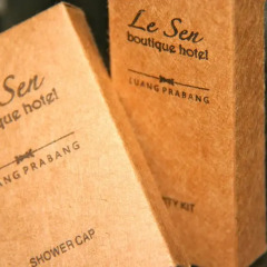 Le Sen Boutique Hotel 4* Номер Делюкс с различными типами кроватей фото 2