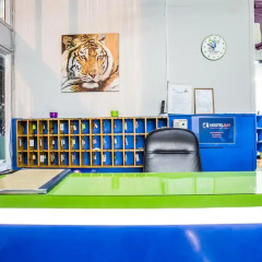 Youth Hostel Athens развлечения