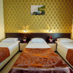 Гостиница Guest House Golden Kids Стандартный номер с различными типами кроватей фото 17