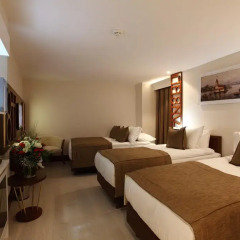 Victory Hotel & Spa Istanbul 4* Номер категории Эконом фото 4