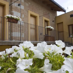 Отель Locanda Il Cortile Виньяле-Монферрато фото 4