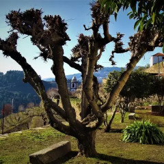 Отель Casa D' Alem Мезан-Фриу пляж