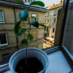 Гостиница Best 4 Rest Украина, Львов - отзывы, цены и фото номеров - забронировать гостиницу Best 4 Rest онлайн балкон