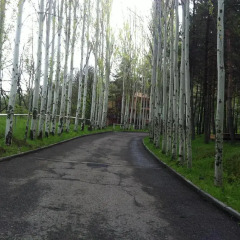 Отель Park Resort Aghveran