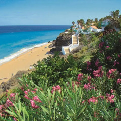 Отель Aldiana Fuerteventura пляж