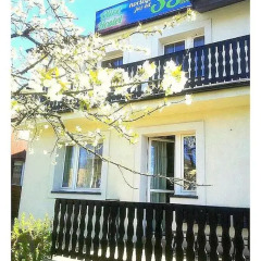 Olive Hostel балкон