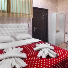 Diyar Hotel 3* Стандартный номер с различными типами кроватей фото 3