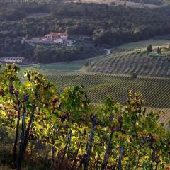 Отель Fattoria Voltrona Италия, Сан-Джиминьяно - отзывы, цены и фото номеров - забронировать отель Fattoria Voltrona онлайн фото 3