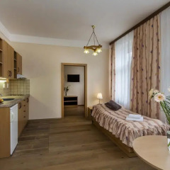 Отель Aparthotel Lublanka 3* Стандартный номер с различными типами кроватей фото 6