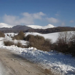 Отель Casa Rural Irugoienea фото 4