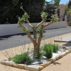 Отель Nelia Gardens парковка
