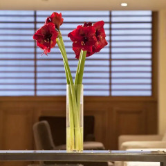Achilleas Hotel интерьер отеля фото 3