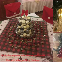 Отель Alton Hotel Чехия, Прага - 12 отзывов об отеле, цены и фото номеров - забронировать отель Alton Hotel онлайн помещение для мероприятий