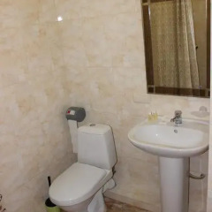 Golden Lion Hotel 3* Люкс с разными типами кроватей фото 7