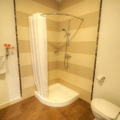 Carlton Hotel 3* Стандартный номер фото 9