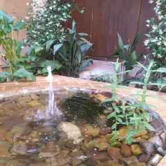 Отель La Venta del Arriero фото 6