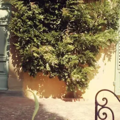 Отель Villa Poggio San Felice фото 5