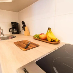 Апартаменты Checkvienna – Apartment Rossauer Lande Студия